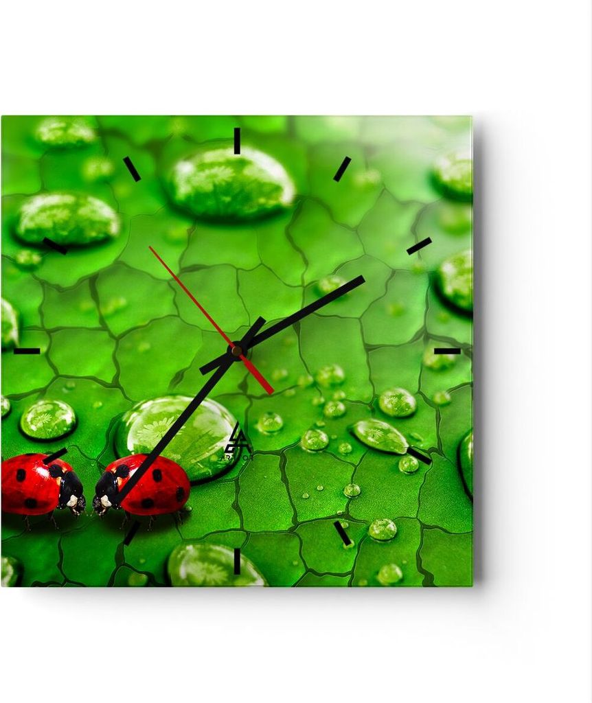 Wanduhr - Quadrat - Glasuhr - Marienkäfer Gras Blatt Tropfen - 30x30cm - Schleichendes Uhrwerk - Lautlos - zum Aufhängen bereit - Dekoration Mode...