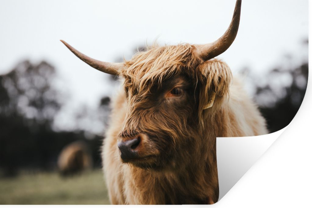 MuchoWow - Wierderverwendbar - Selbstklebend