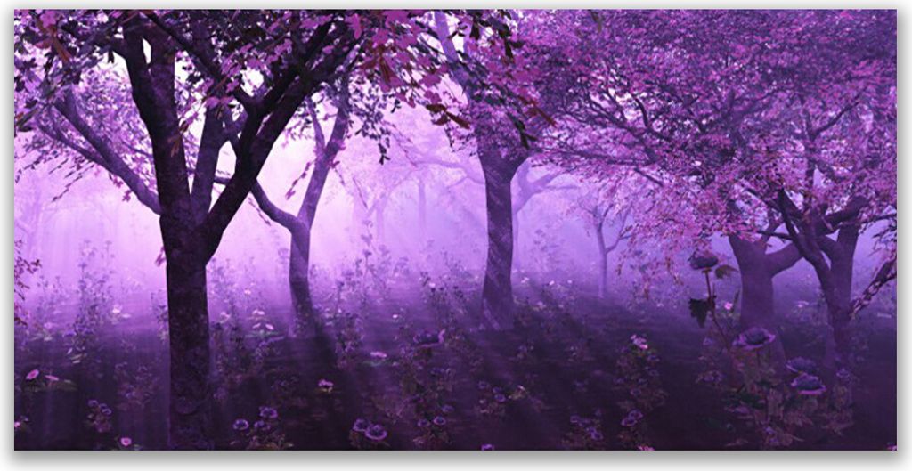 Tulup Leinwand-Bilder 140x70 Wandbild Canvas Kunstdruck Bäume Natur