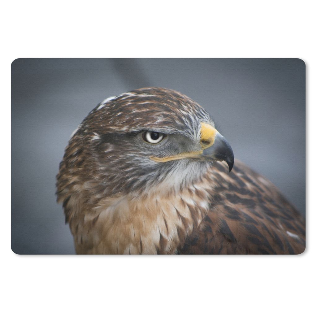 MuchoWow Mauspad Mousepad Ein Bussard aus nächster Nähe 27x18 cm - Mousepads - Maus Mat - Pad - Mausunterlage - Büroartikel - Desk Matten