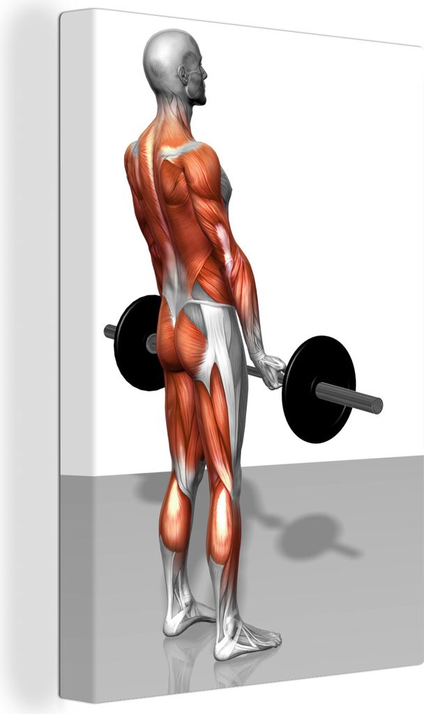 OneMillionCanvasses - Leinwandbilder - 90x140 cm, Ein Deadlifter, illustriert mit einem Blick auf die Kniesehnen, Wandbilder Kunstdruck Wanddekor...
