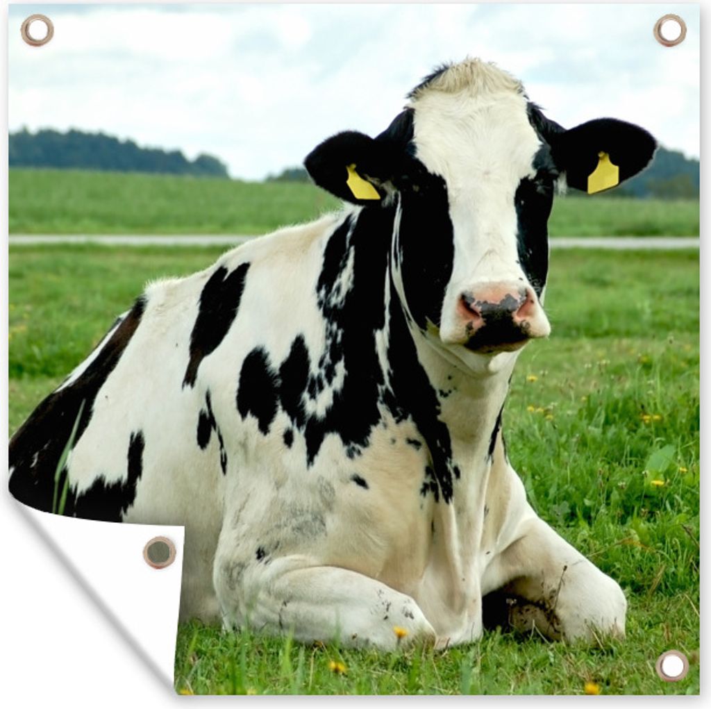 MuchoWow 100x100 cm Outdoor-Poster Gartendeko Sichtschutz Garten Poster für den Garten Kuh - Tier - Friesland