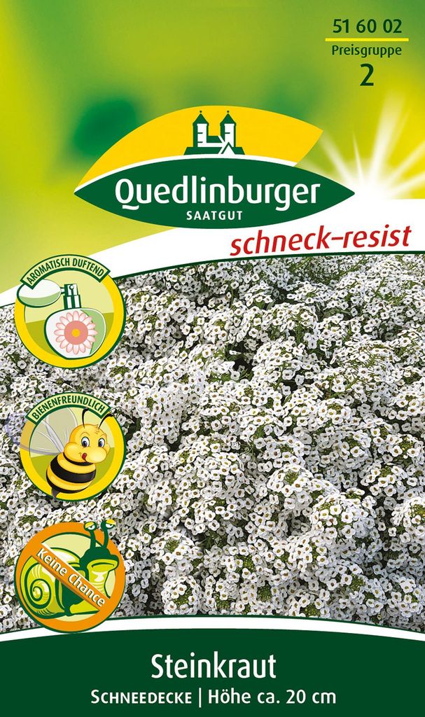 Quedlinburger Saatgut - Steinkraut Schneedecke - Samen - 516002