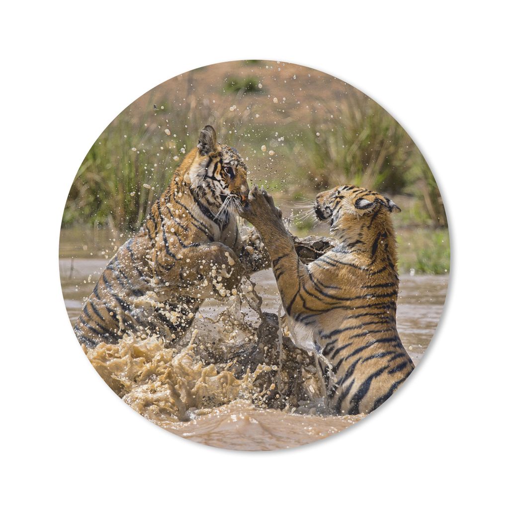 MuchoWow Mauspad Mousepad Junge Tiger spielen im Wasser 50x50 cm - Mousepads - Maus Mat - Pad - Mausunterlage - Vinyl