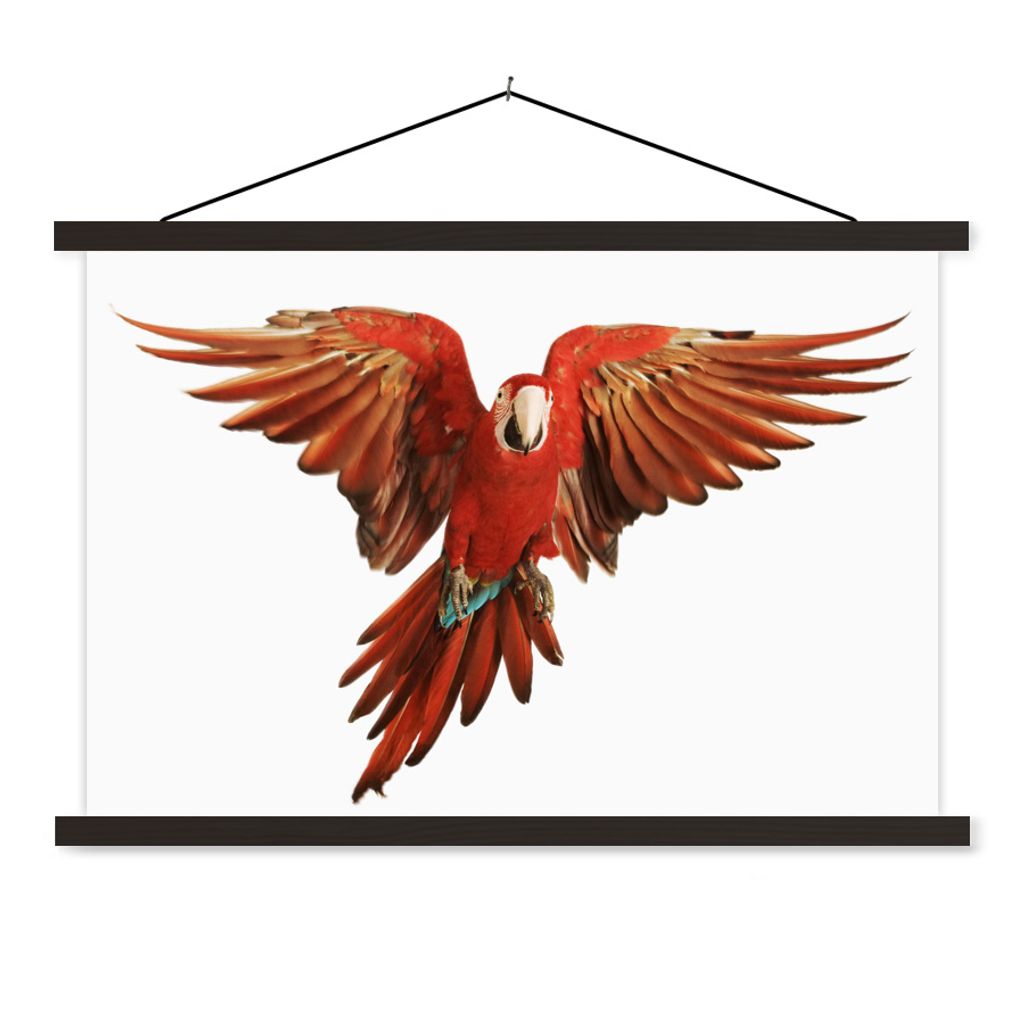 MuchoWow Textilposter Ara - Vogel - Federn - Weiß 60x40 cm mit schwarzem Rahmen - Hölzernes