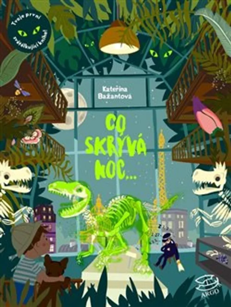 Livre pour le Coucher Enfant Co skrývá noc - Activité Nocturne