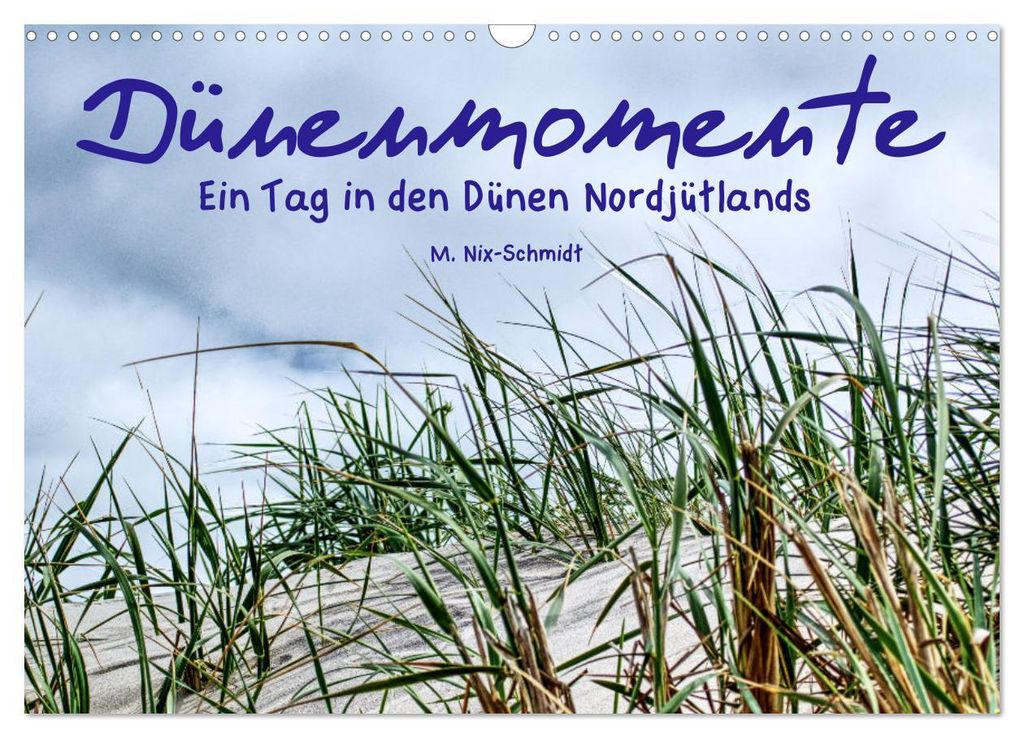 Dünenmomente - Ein Tag in den Dünen Nordjütlands (Wandkalender 2027 DIN A3 quer), CALVENDO Monatskalender