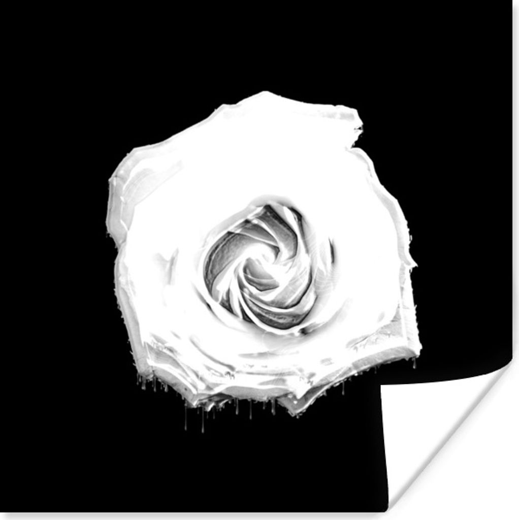 MuchoWow Poster Blumen - Licht - Schwarz - Weiß 30x30 cm - Wandposter - Printing