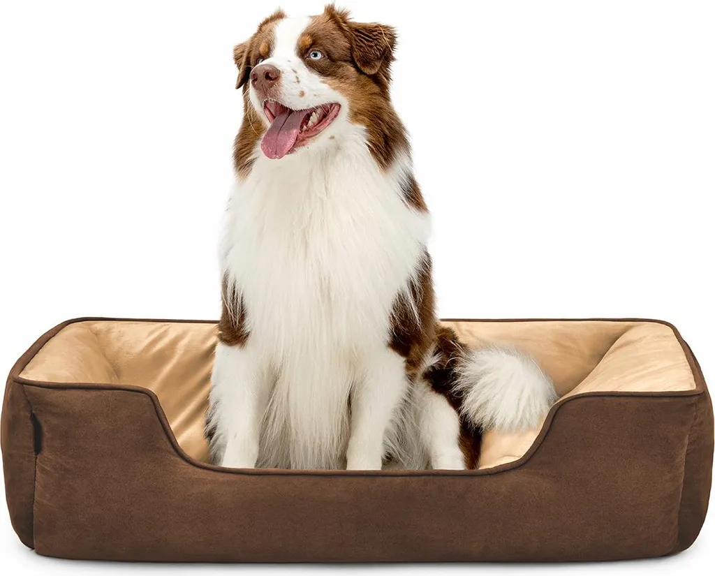 cuccia per cani lionto - cesto reversibile 2 in 1, morbidamente imbottito e di facile manutenzione, con ingresso basso, 110x80 cm, marrone/beige
