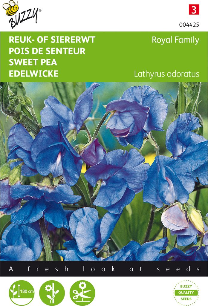 Duftwicke Royal Dunkelblau | Wickensamen von Buzzy Seeds
