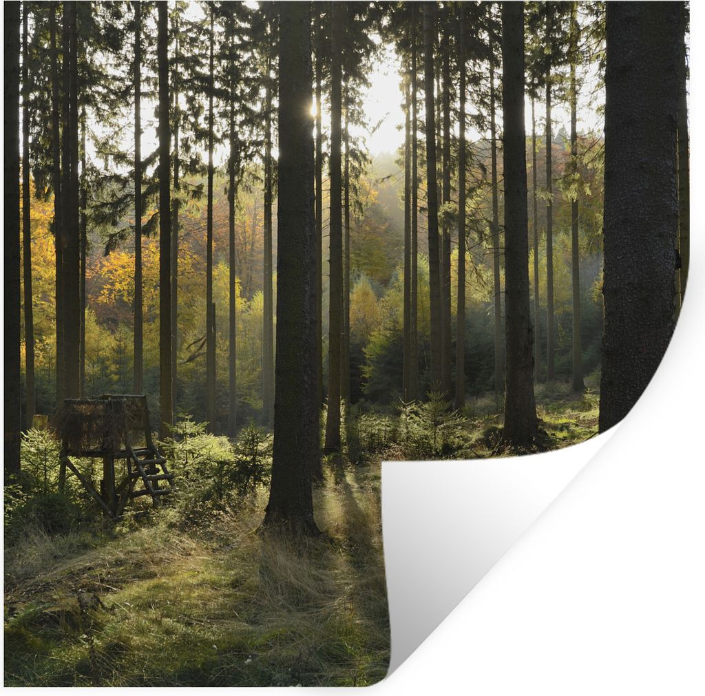 MuchoWow Wandtattoo Wandsticker Wandaufkleber Wald - Sommer - Sonne 30x30 cm Selbstklebend und Repositionierbar - Repositionierbar - Wasser abwei...