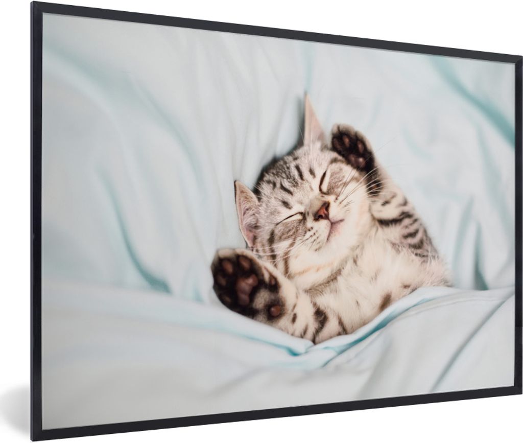 MuchoWow Gerahmtes Poster Kätzchen - Lustig - Bett - Kinder - Jungen - Mädchen - Kinder 60x40 cm - Poster mit Schwarzem Bilderrahmen Wandposter...