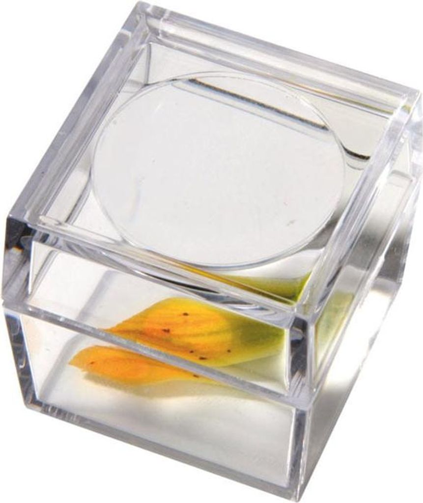 Betzold vergrootglas voor vitrines, 3-voudige vergroting Productafbeelding 