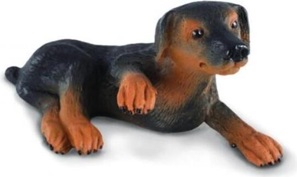 Dobermann Welpe 88087 COLLECTA