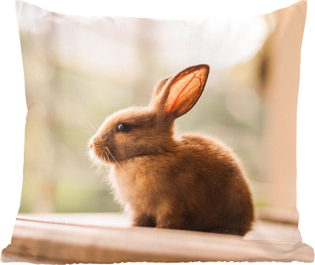 MuchoWow Zierkissen Sofakissen Wohnzimmer Dekokissen 45x45 cm Kaninchen - Baby - Tier - Schlafpolster - Polster für das Sofa