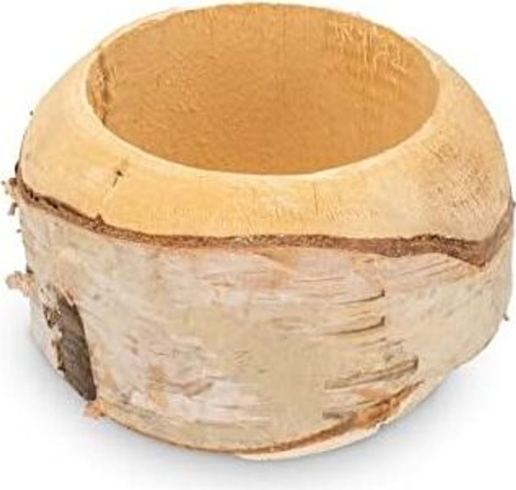 Birkenstamm-Pflanzenschale, wählbar mit Durchmessern von 12 und 19cm, Größe:Ø12 cm