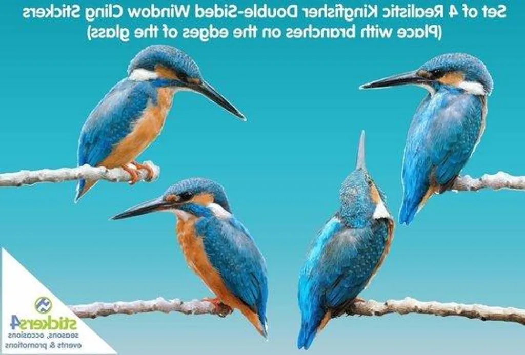 Autocollants pour fenêtres Oiseaux : Décoration en verre anti-collision