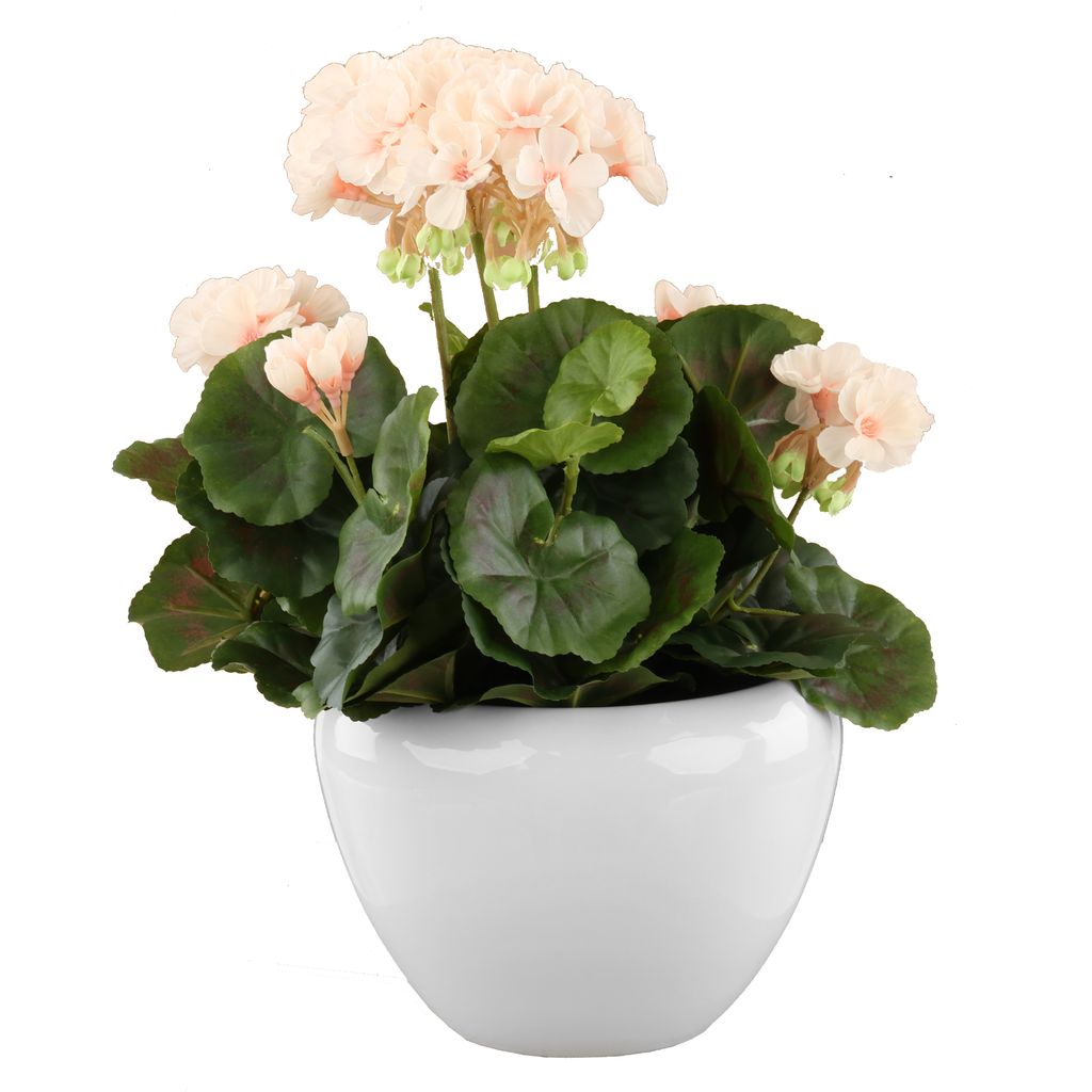 Blumentopf Keramik Glänz Weiß Schale 19cm Kaktus Sukkulenten Orchidee Blumenschale Vase Blumenvase Elegant Modern Glamour