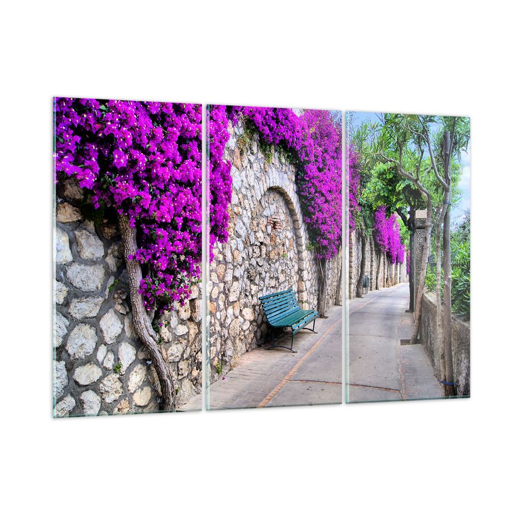 Bilder auf glas - Pflanzen Bank Straße Sommer - 165x110cm - Glasbilder - Wandbilder - Kunstdruck - zum Aufhängen bereit - Wanddekoration aus Glas...