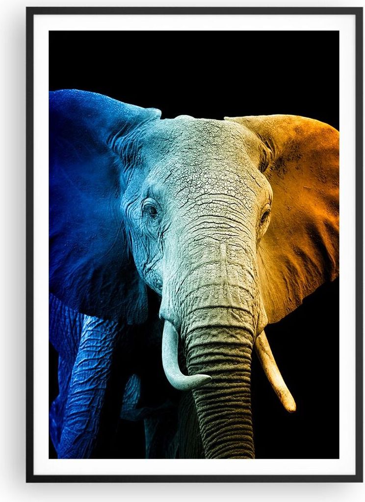 Gerahmtes Poster - Schwarzer Rahmen - Bunt Elefant Fotografie - 70x100 cm - Wand Bild - Wanddeko - Wandbilder - Kunstposter - Wandposter - Bilderra...