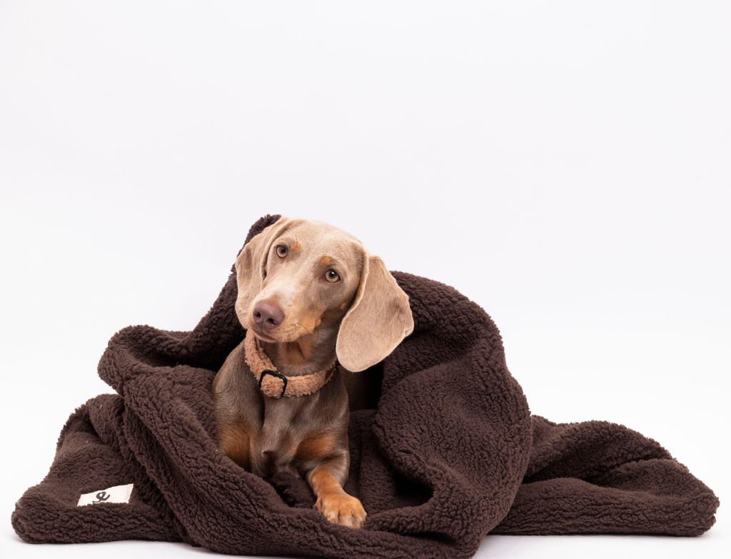Sac de couchage pour chien Teddy couleur chocolat – Niche Image du produit 