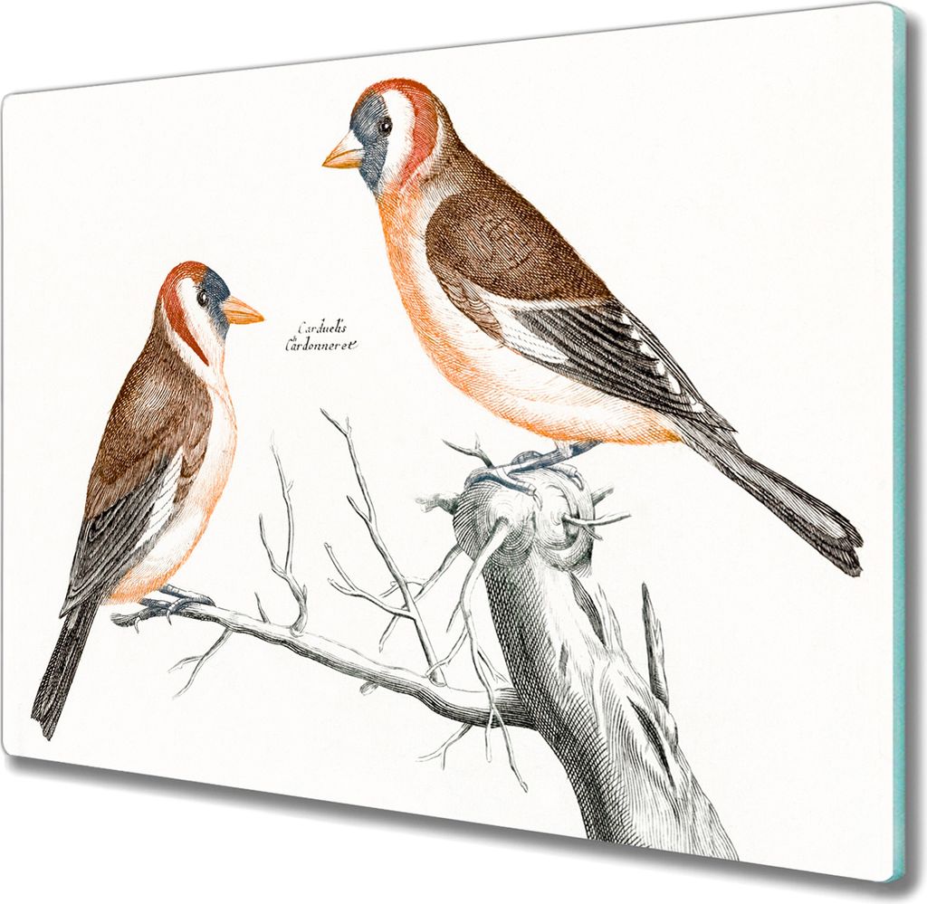 Coloray Kochplattenabdeckung Herdabdeckplatte 60x52 cm Hackbrett Schneidebrett Küchenbrett - Tier Vogel Zweig