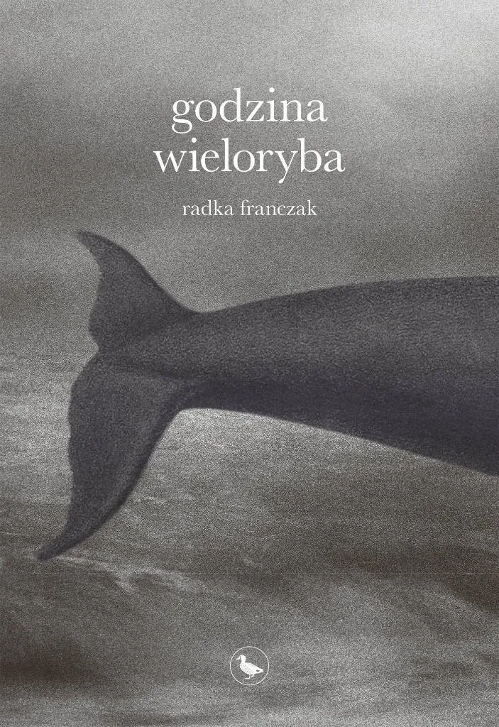 L'heure de la baleine : livre pour s'endormir et apaiser les enfants le soir