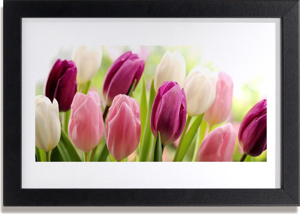 Bild 30x20 MDF-Rahmen Wandkunst Tulpen Blumen Natur Wiese