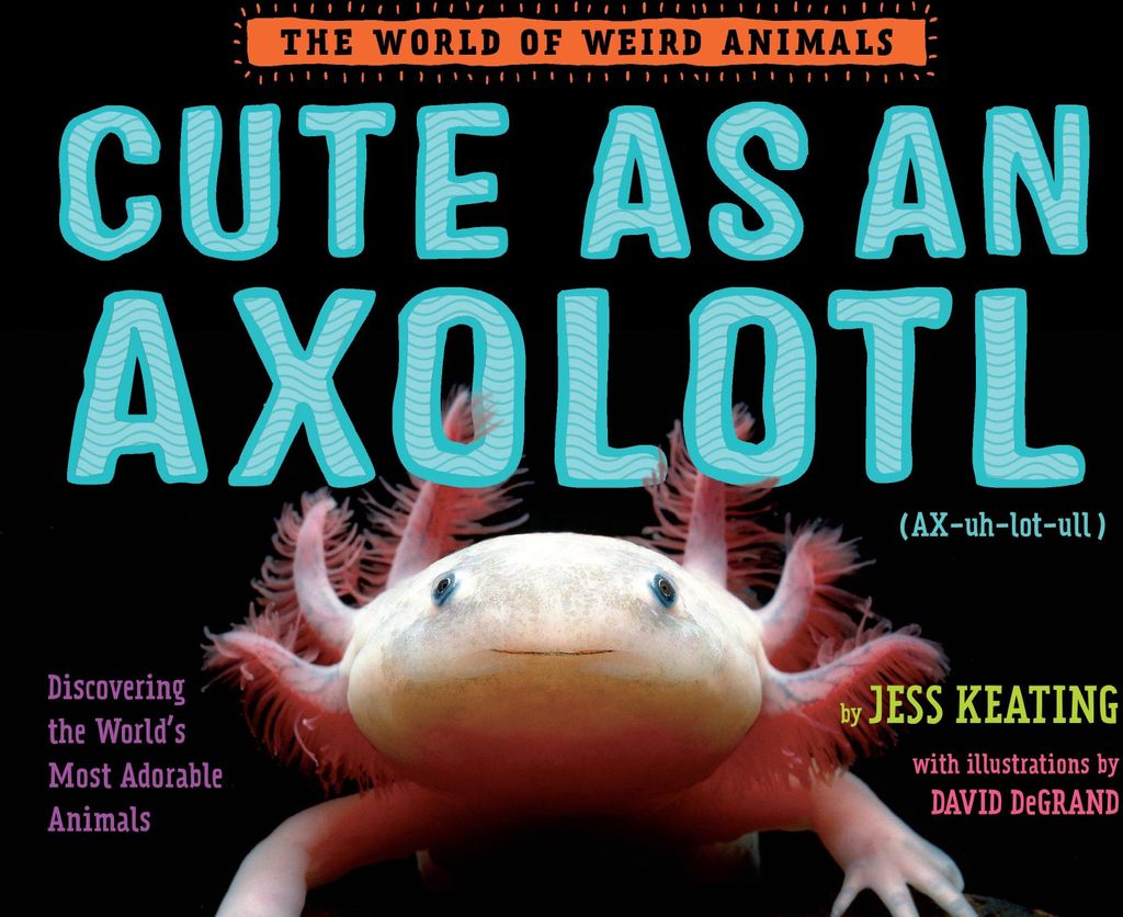 Cute as an Axolotl
