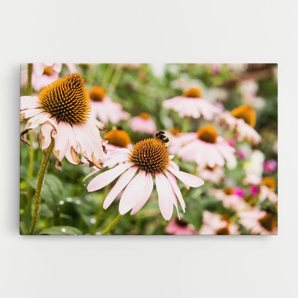 ARTHUB Leinwandbild 40x60 cm, Daylight Bee | Wohnzimmerdekoration, Hängende Bilder, Wanddekoration, Heimdekoration, Blumen, Blumen in der Natur