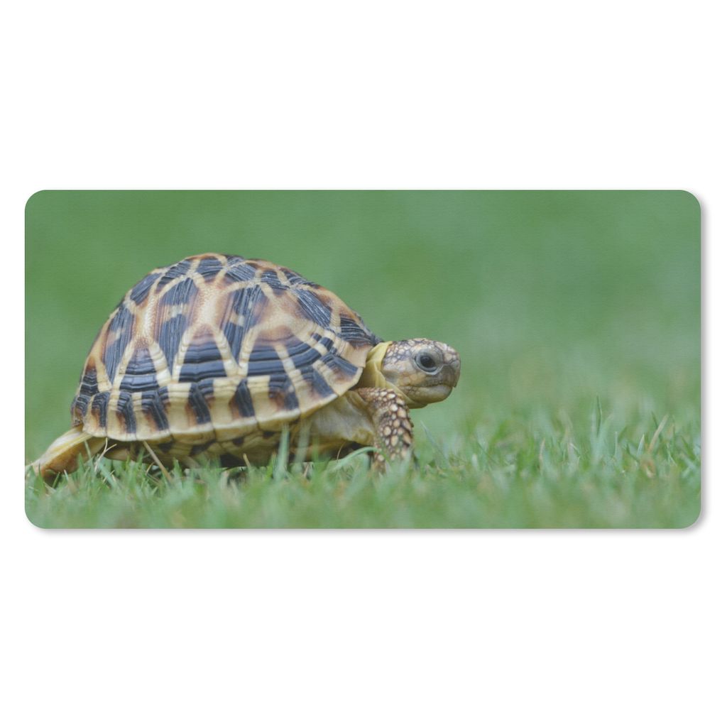 MuchoWow Schreibtischunterlage Schildkröte im Gras 80x40 cm - XXL Mauspad - Gaming Mauspad