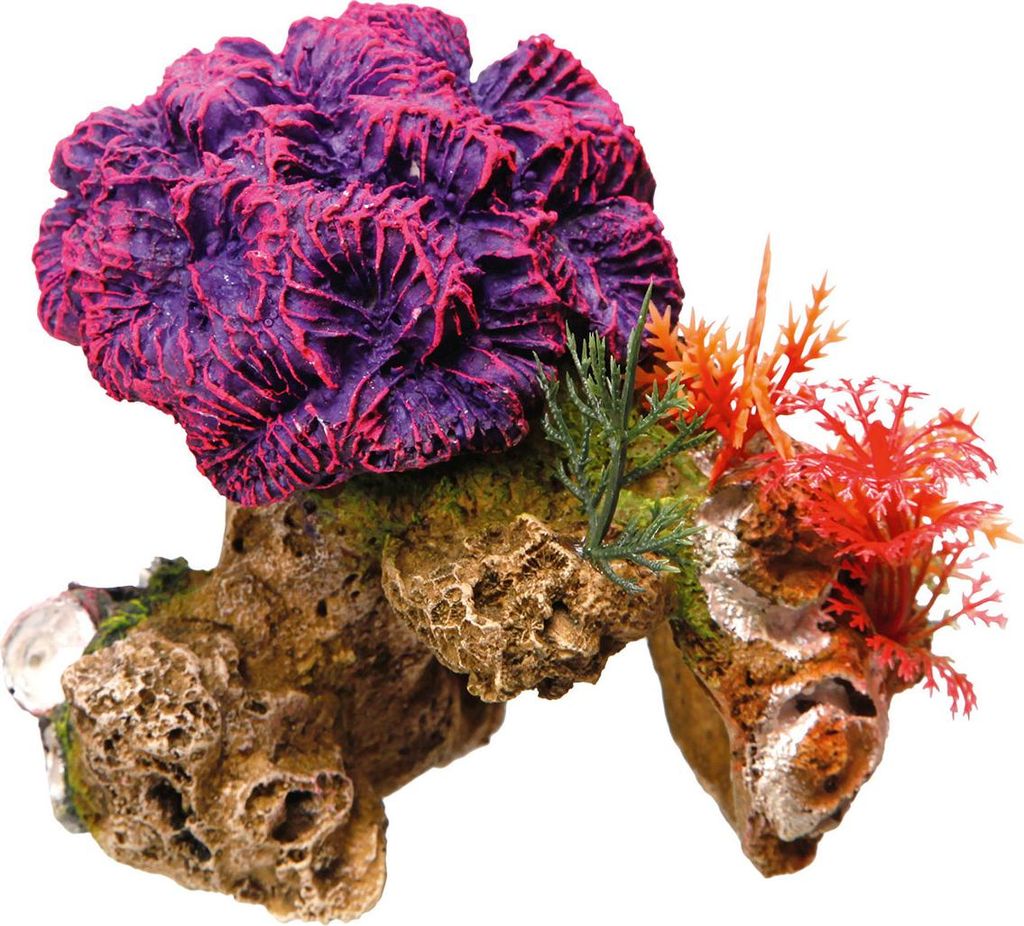 Nobby Aquariendekoration Korallenstein Produktbild 