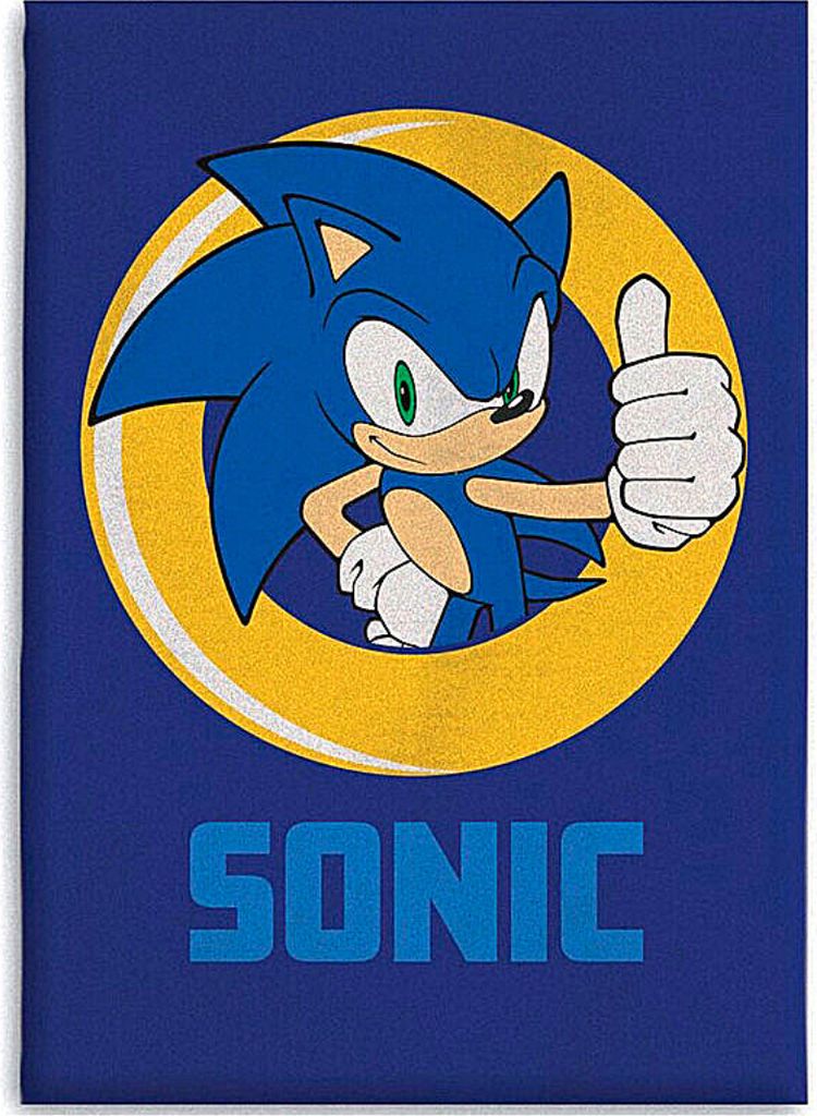 Sonic the Hedgehog character giving a thumbs up inside a golden ring, with the word SONIC below.