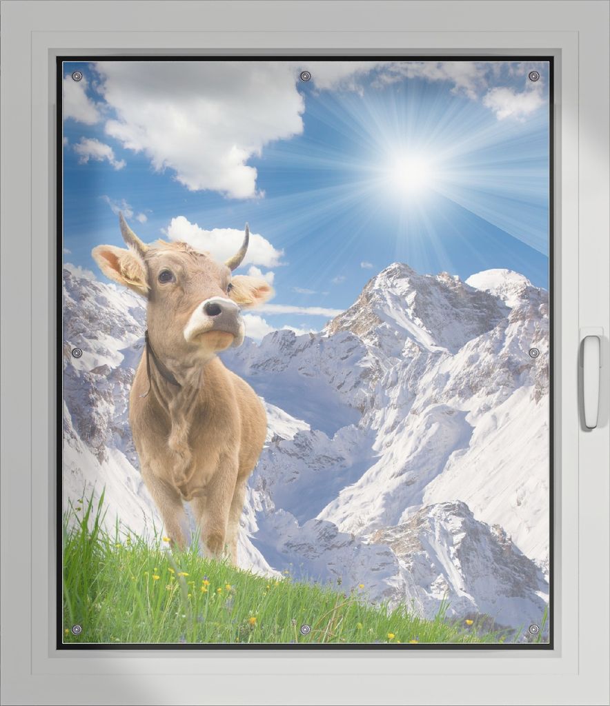 Wallario Lichtschutzbild, Dekorativer Sichtschutz Sonnenschutz 96 x 115 cm mit Motiv: Kuh im Sonnenschein in den Alpen - Verdunklung ohne Bohren