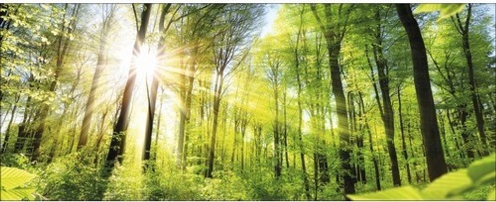 Glasbild Towards The Sun GLA1823 125x50 cm Produktbild 