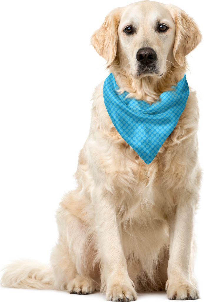 ABAKUHAUS Abstrakt Haustier Bandana, Aqua Tone Anordnung der Elemente, 40x40 cm, Aqua und Deep Sky Blue