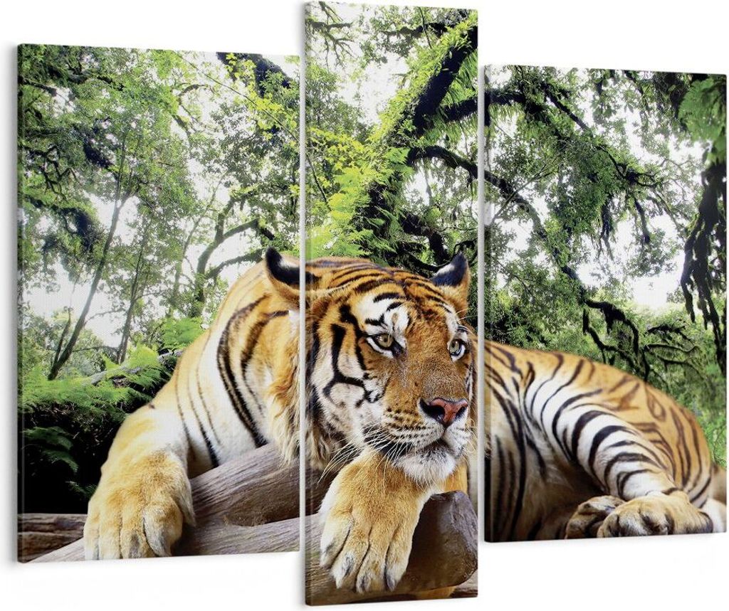 Bild auf Leinwand - Leinwandbild - 3 Teile - Tiger Dschungel Ruhe - 95x80cm - Wand Bild - Wanddeko - Wandbilder - Leinwanddruck - Bilder - Wanddeko...