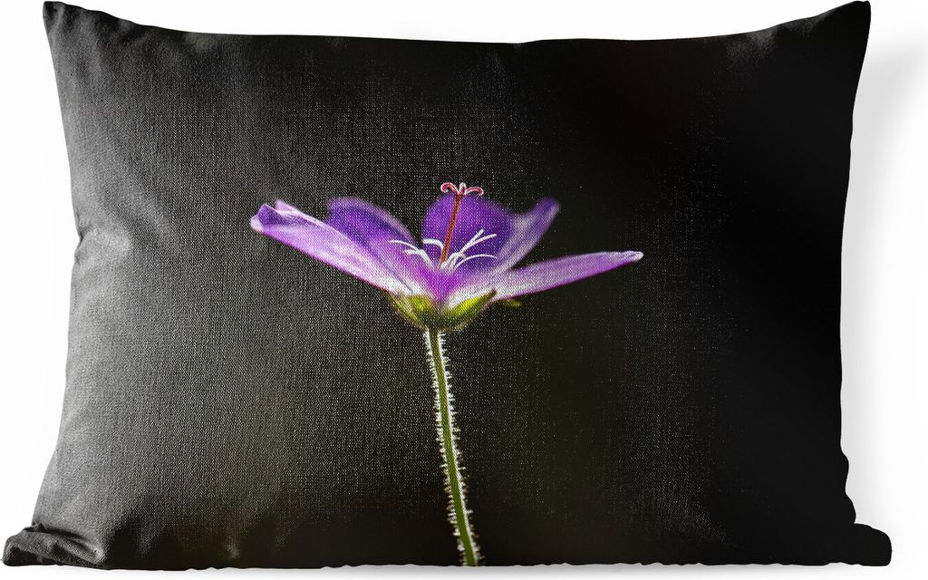 MuchoWow Outdoor Kissen - Eine lila Geranie auf schwarzem Hintergrund - 60x40 cm - Wetterfest - Lounge Kissen - Zierkissen - Kissen für Innenräume