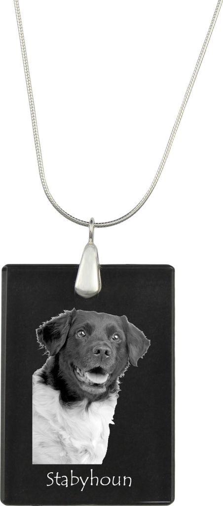 Stabyhoun, Friesischer Vorstehhund, Stabijhoun - Kristallanhänger mit Hund, Silberhalskette mit Foto, personalisierter Anhänger der Marke Art-Dog