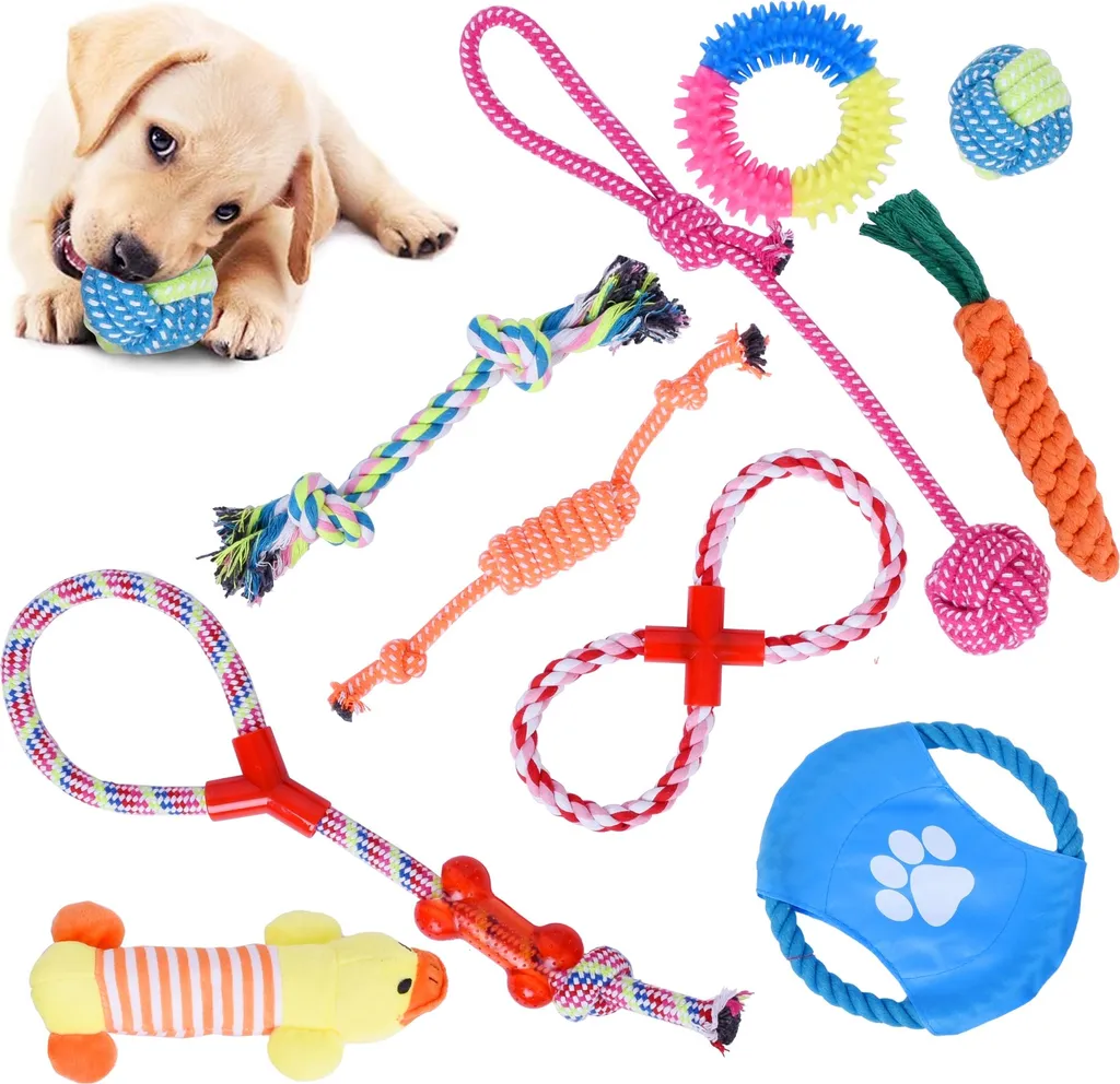 Jouet pour chien interactif lot de 10 cordes SERGIO tuggers de sport