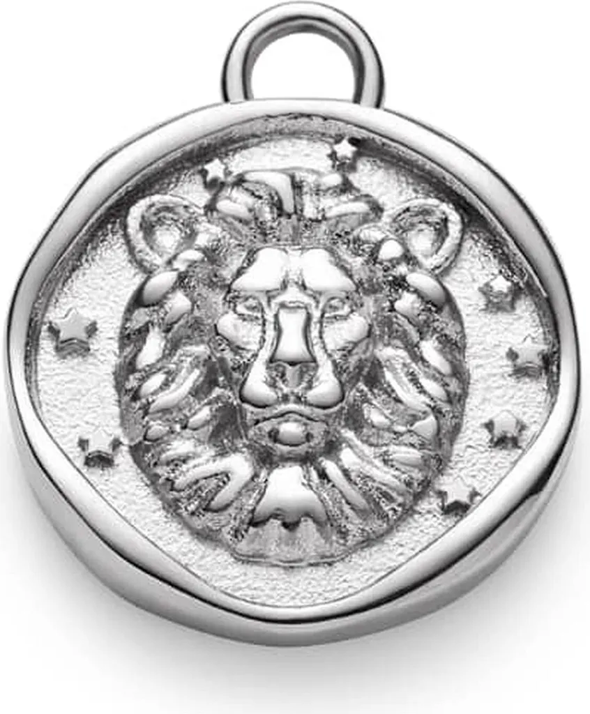 Bijou de Collier Paul Hewitt Leo Médaille Stylisée en Acier pour Homme