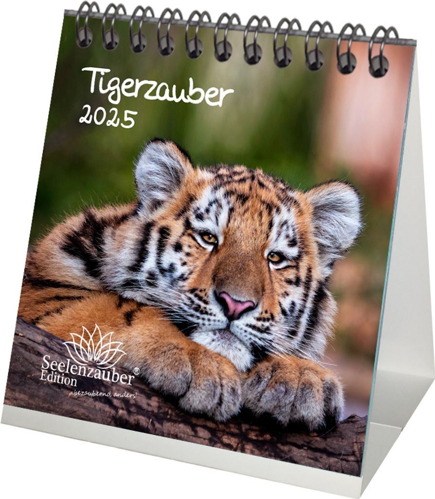 Tigerzauber Kalender für 2025 Format 10cm x 10cm Tiger - Seelenzauber