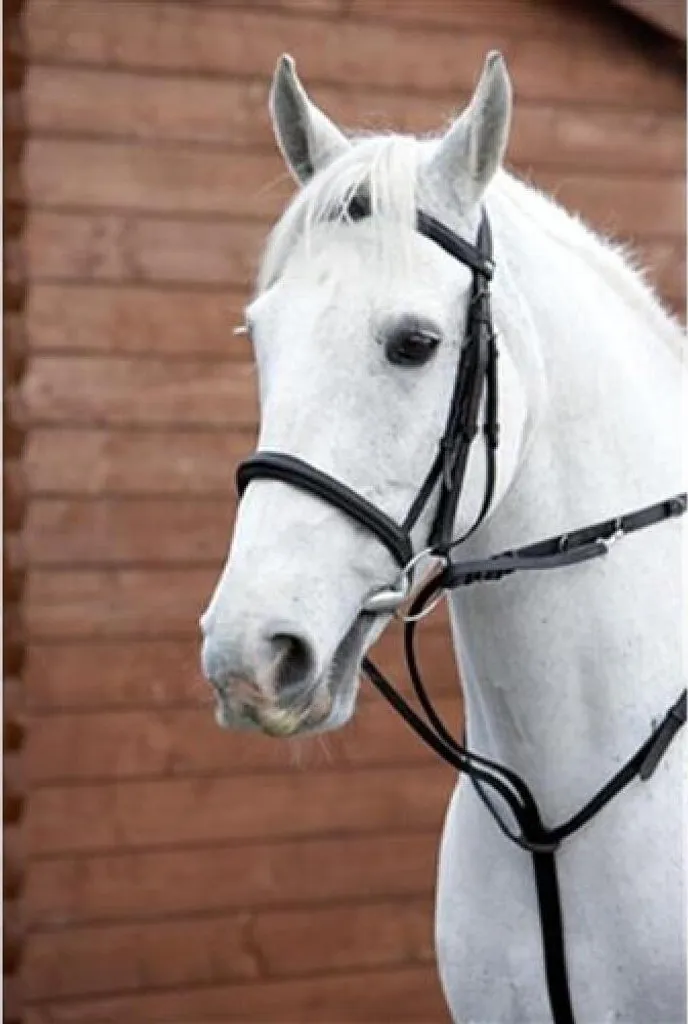 Hy Market Harborough BZ363 Marron Cob/Full - Enrênement Équitation Cuir