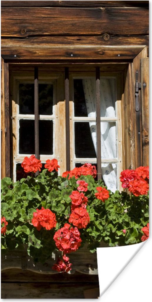 MuchoWow Poster Fenster mit blühenden Geranien 40x80 cm - Dekoration