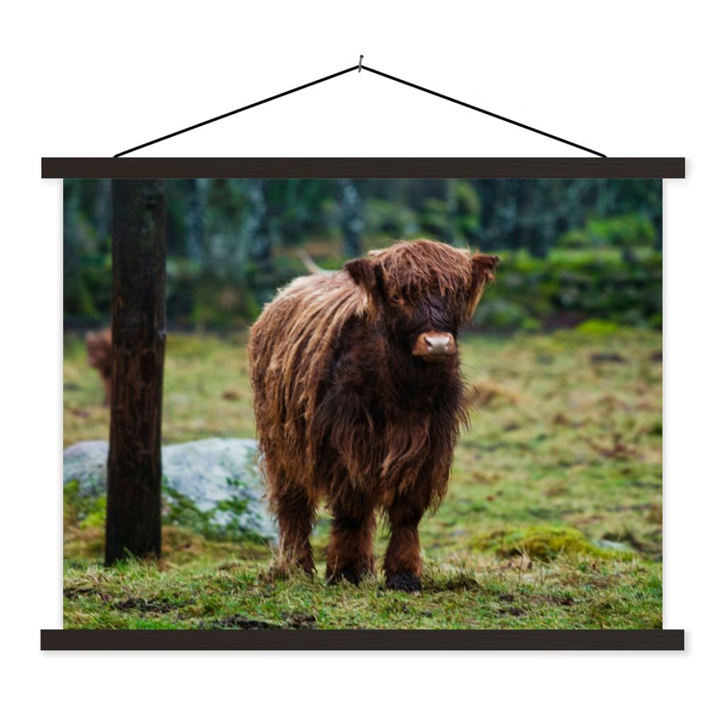 MuchoWow Textilposter Schottischer Hochländer - Wald - Moos 150x113 cm mit schwarzem Rahmen - Wohnzimmer