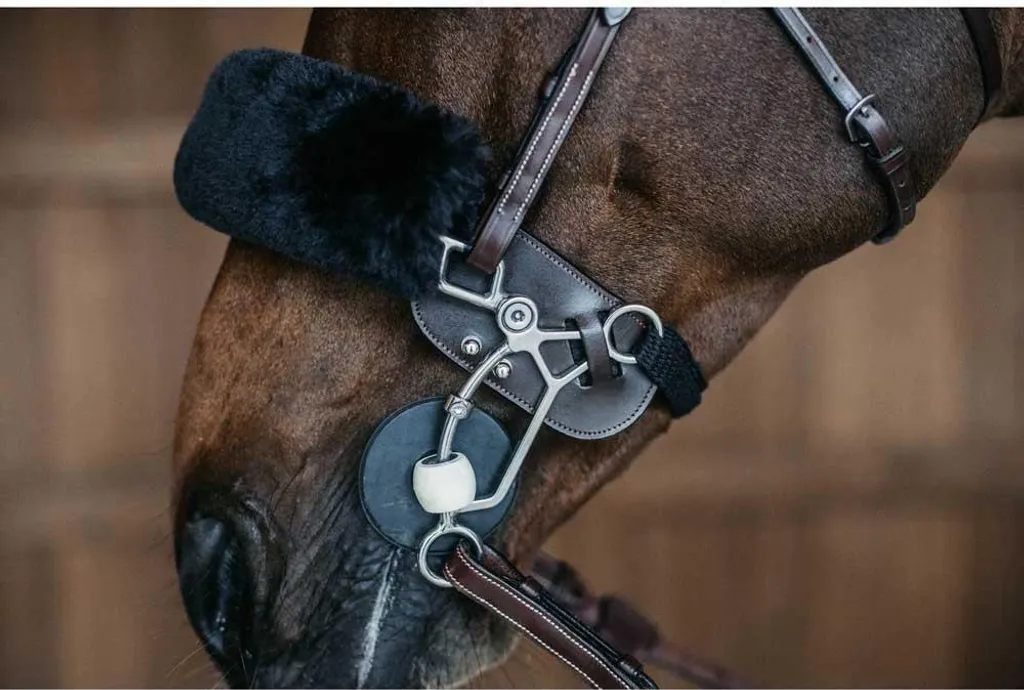 Fourreau pour hackamore Dyon marron idéal pour muserolles d'équitation