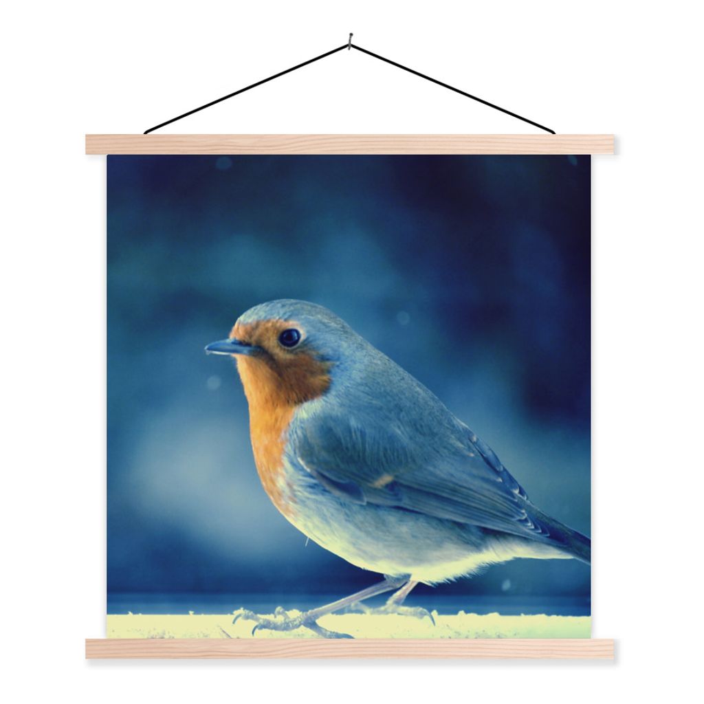 MuchoWow Textilposter Rotkehlchen - Blau - Schnee 120x120 cm mit holzfarbenen Rahmen - Textil-Poster