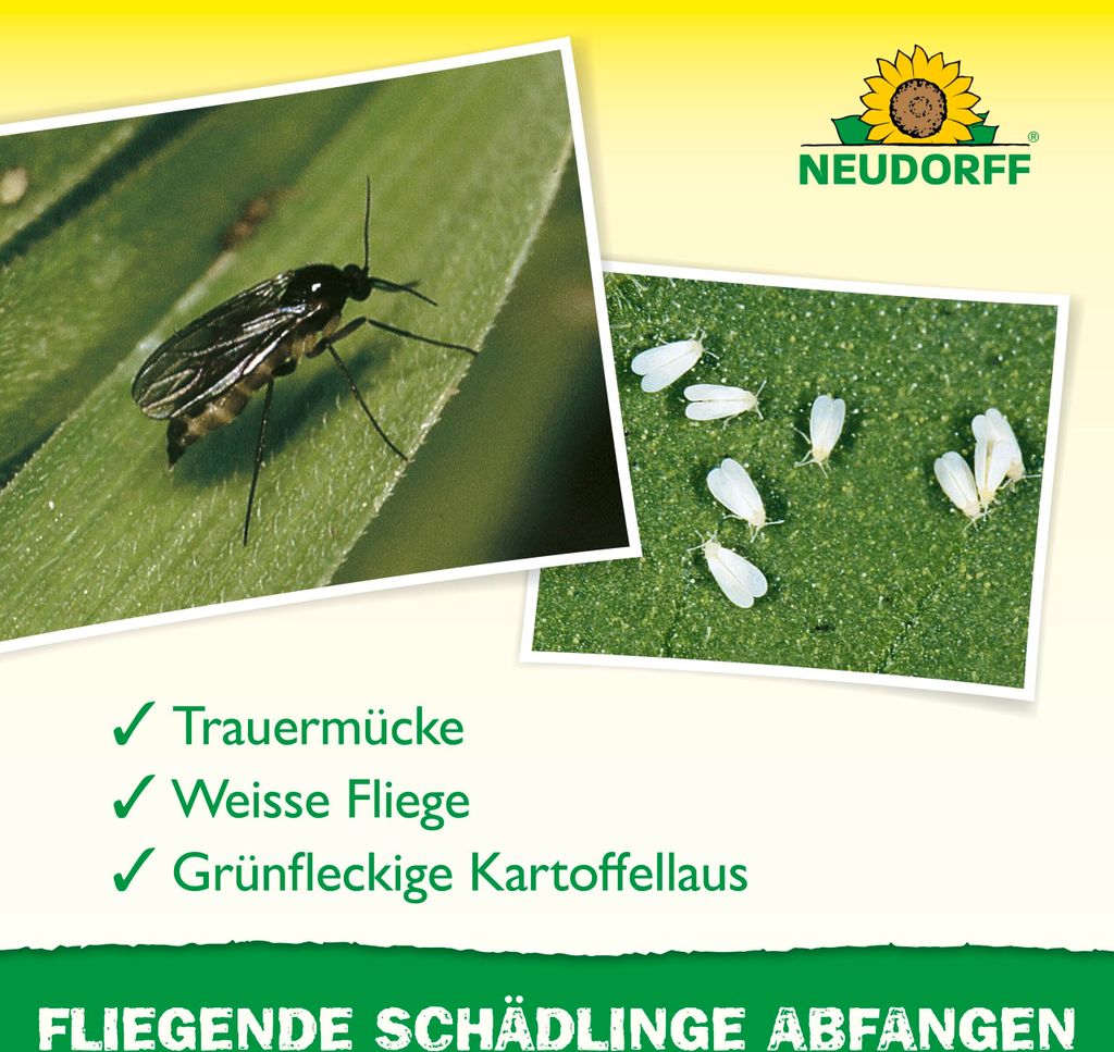 Neudorff Gelb-Sticker 10 Stück Produktbild 4