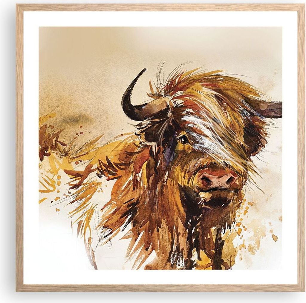 Gerahmtes Poster - Rahmen in heller Eiche - Stier Scotch Aquarell - 60x60 cm - Wand Bild - Wanddeko - Wandbilder - Kunstposter - Wandposter - Bilde...