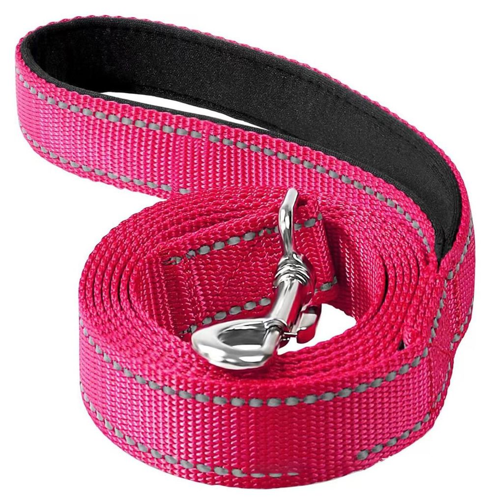 Robuste Hundeleine für große und mittelgroße Hunde, reflektierende Nylonleine mit weich gepolstertem Griff für Spaziergänge und Training